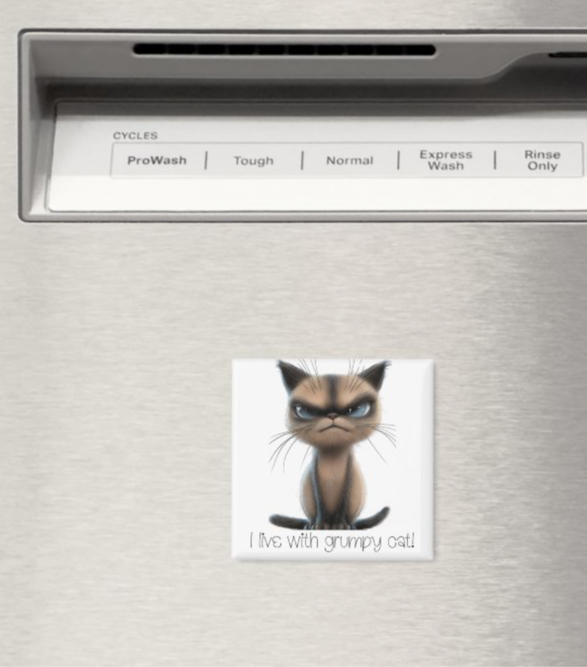 Grumpy Cat