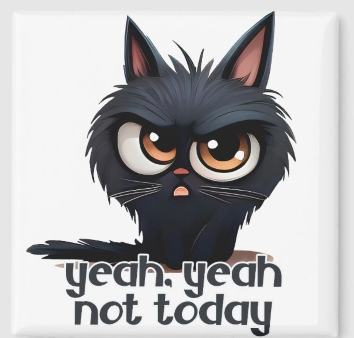 Not Today Kitty