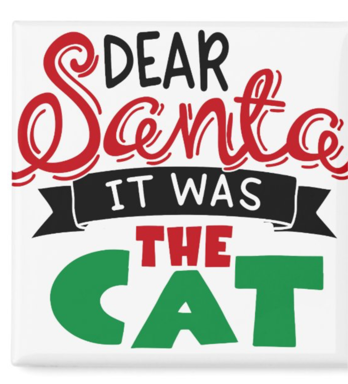 Dear Santa It Was the Cat