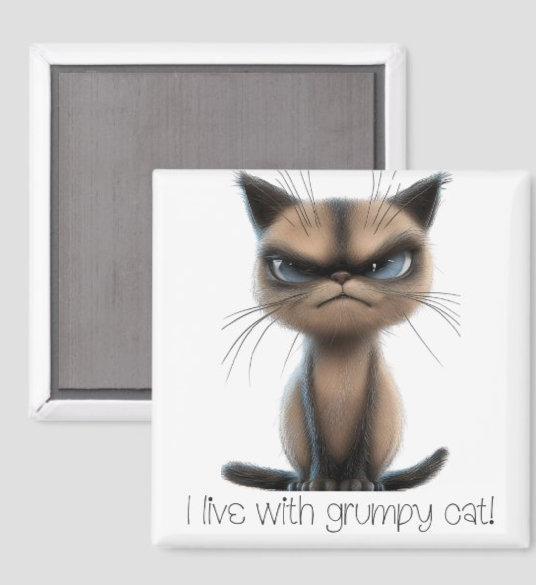 Grumpy Cat