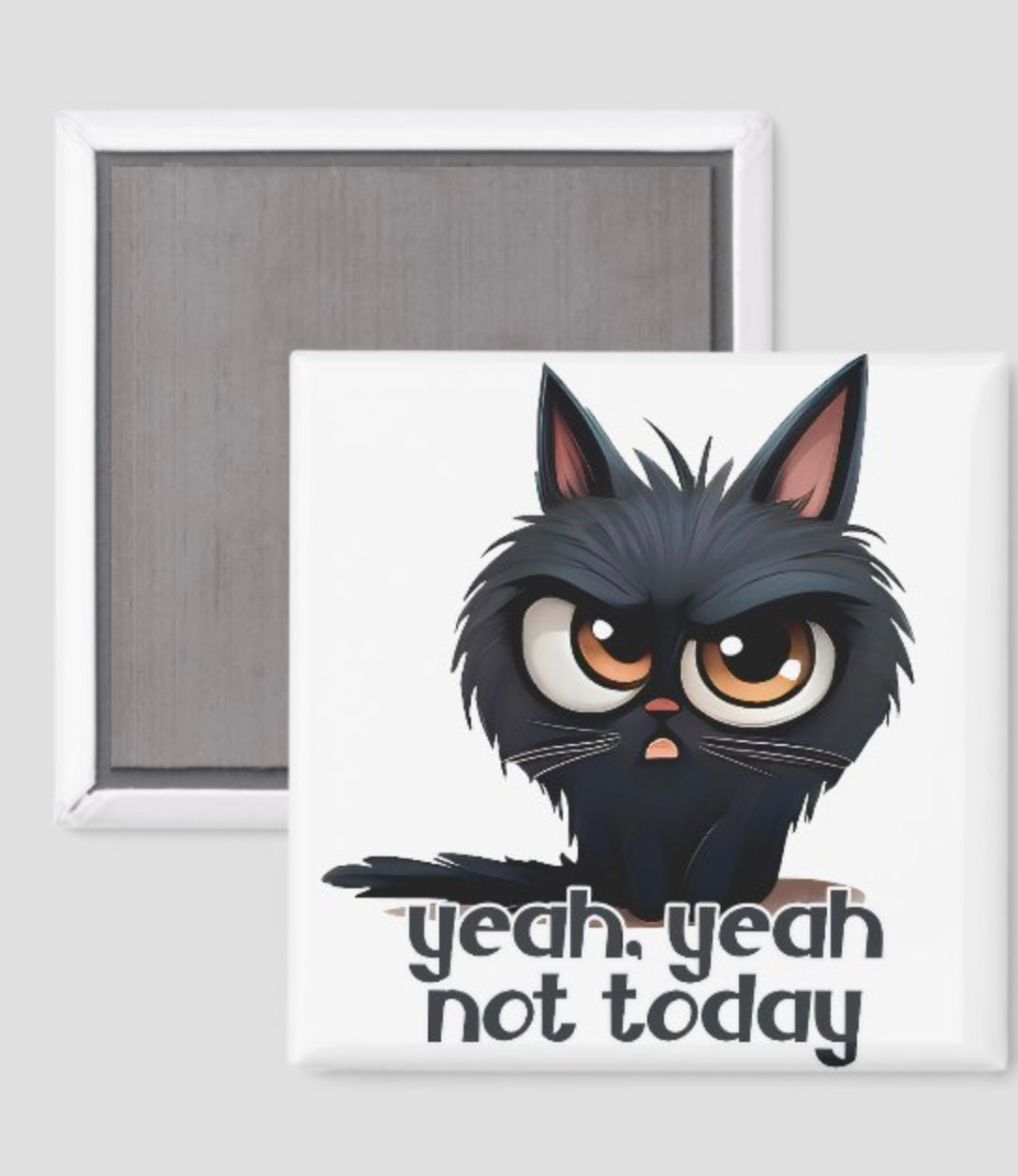 Not Today Kitty