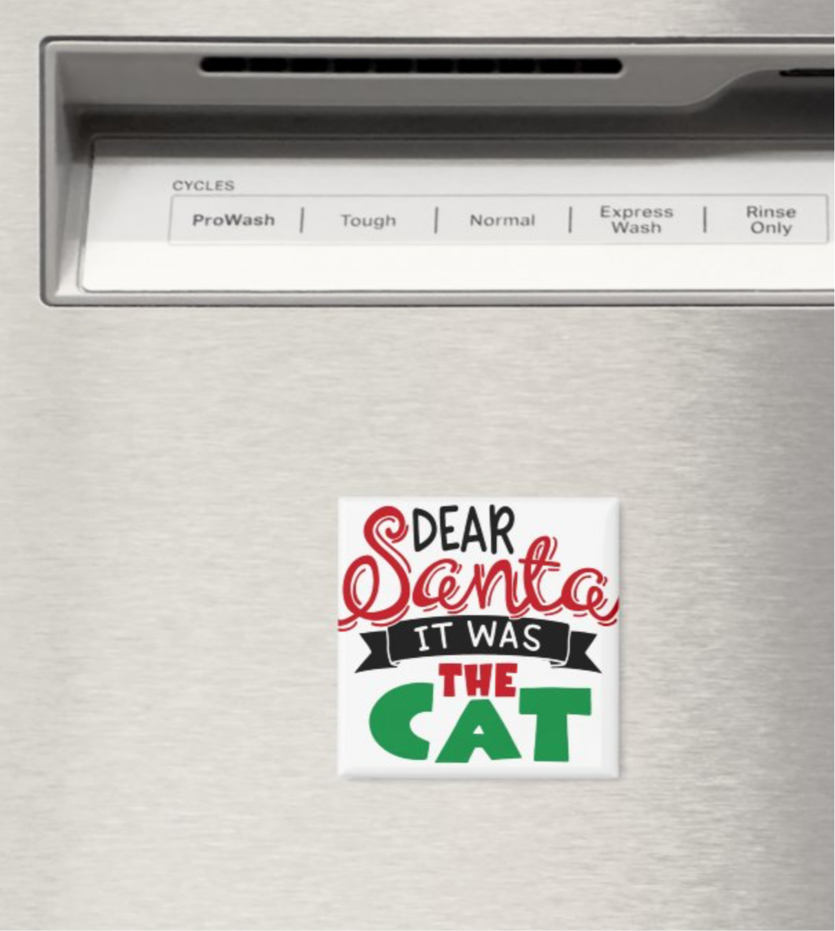 Dear Santa It Was the Cat